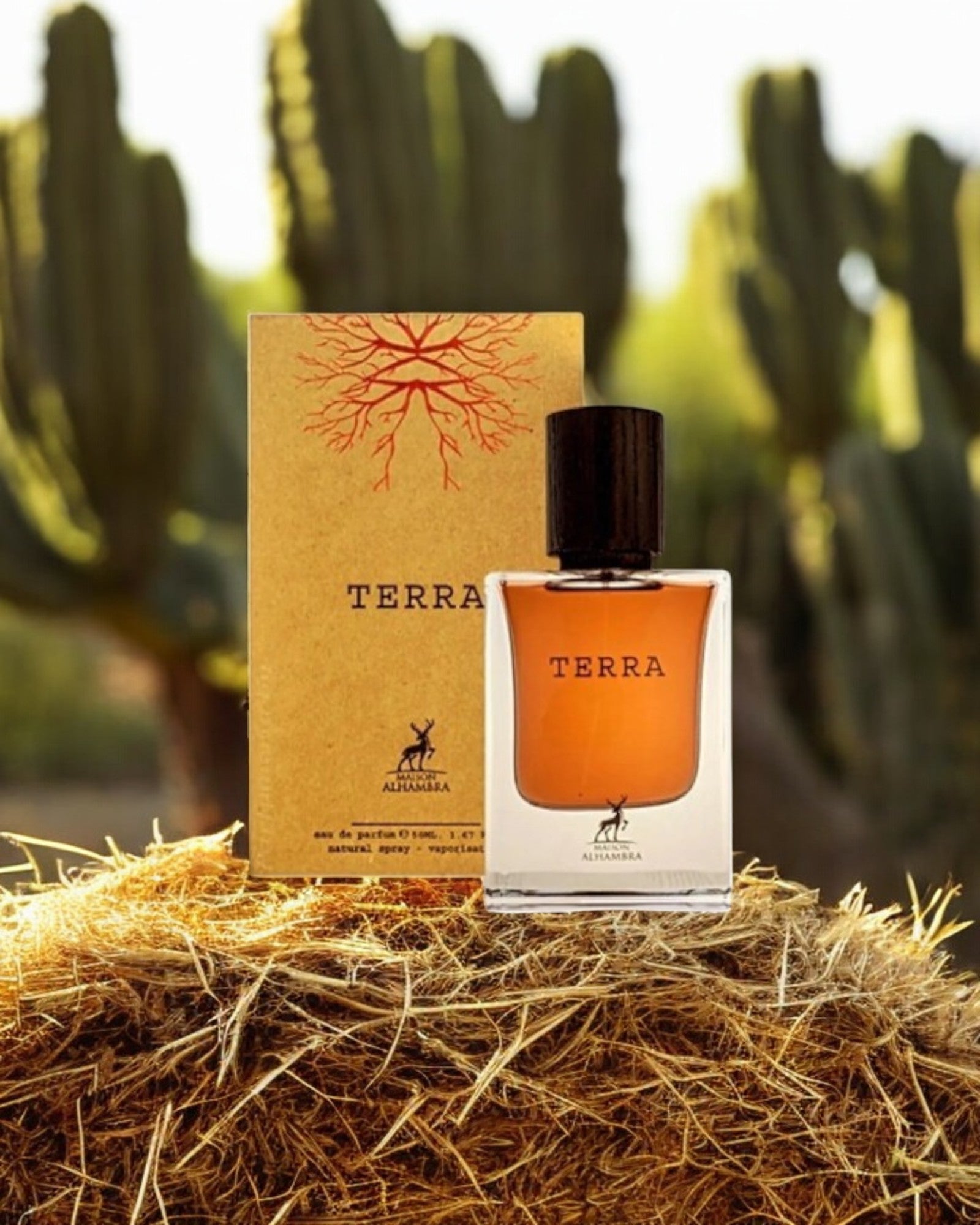 50ml